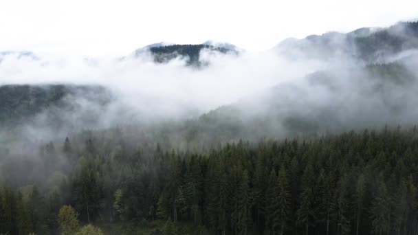 Niebla en las montañas. Montañas Cárpatas. Ucrania. Antena . — Vídeos de Stock