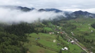 Dağlarda sis var. Karpat Dağları. Ukrayna. Havadan.