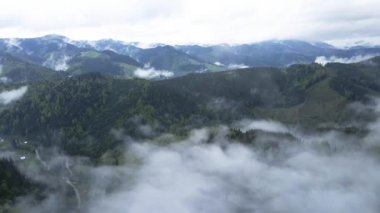 Dağlarda sis var. Karpat Dağları. Ukrayna. Havadan.