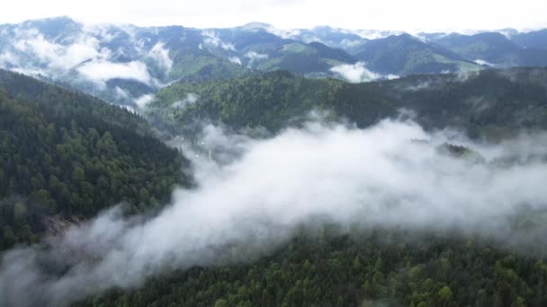 Mist in de bergen. Karpaten. Oekraïne. Luchtfoto. — Stockvideo