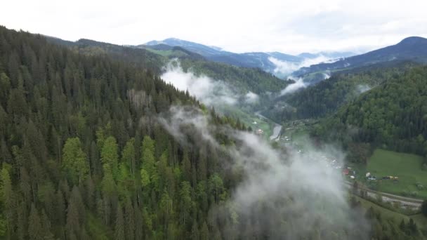 Dağlarda sis var. Karpat Dağları. Ukrayna. Havadan. — Stok video