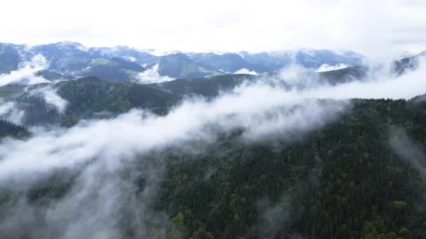 Névoa nas montanhas. Montanhas Cárpatas. Ucrânia. Aviação . — Vídeo de Stock