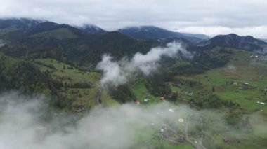 Dağlarda sis var. Karpat Dağları. Ukrayna. Havadan.