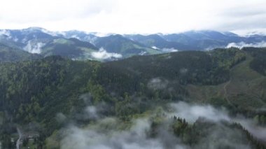 Dağlarda sis var. Karpat Dağları. Ukrayna. Havadan.