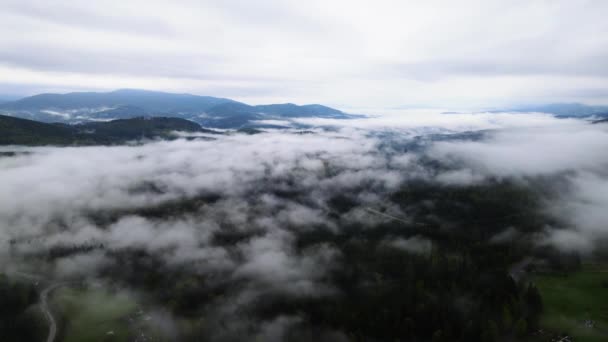 Niebla en las montañas. Montañas Cárpatas. Ucrania. Antena . — Vídeos de Stock