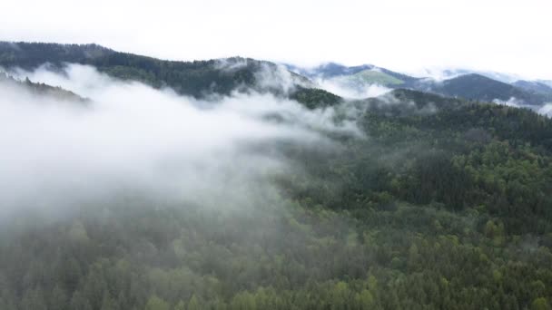 Brouillard dans les montagnes. Les montagnes des Carpates. Ukraine. Aérien . — Video