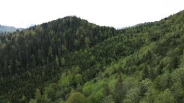 Karpat Dağları 'nın manzarası. Ağır çekim. Ukrayna. Havadan