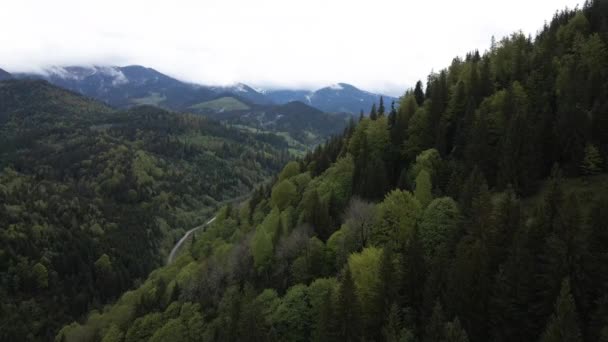 Landschap van de Karpaten. Langzame beweging. Oekraïne. Luchtfoto — Stockvideo