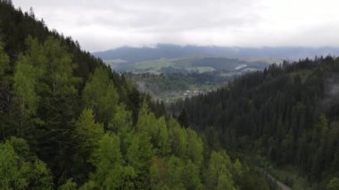 Karpat Dağları 'nın manzarası. Ağır çekim. Ukrayna. Havadan