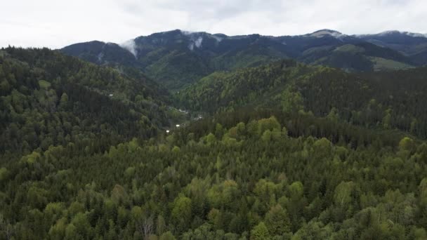 喀尔巴阡山脉的风景。慢动作乌克兰。空中业务 — 图库视频影像