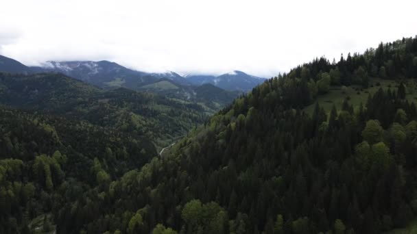 Paisagem das montanhas dos Cárpatos. Movimento lento. Ucrânia. Aviação — Vídeo de Stock