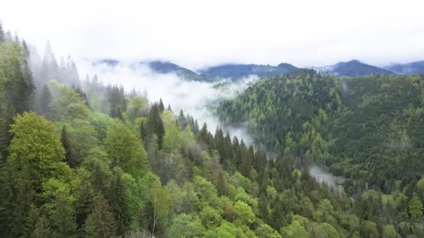 Paisagem das montanhas dos Cárpatos. Movimento lento. Ucrânia. Aviação — Vídeo de Stock