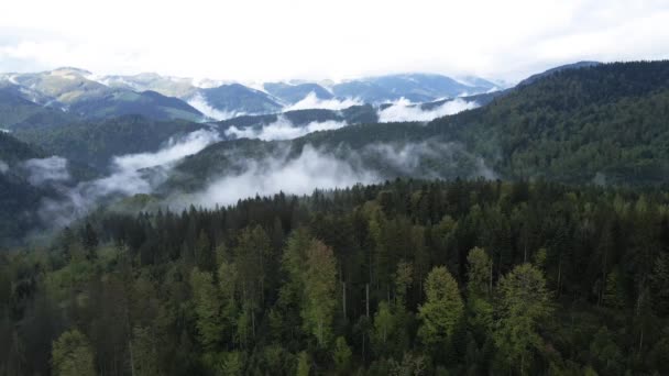 Paisagem das montanhas dos Cárpatos. Movimento lento. Ucrânia. Aviação — Vídeo de Stock