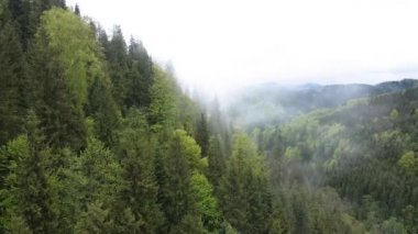 Karpat Dağları 'nın manzarası. Ağır çekim. Ukrayna. Havadan