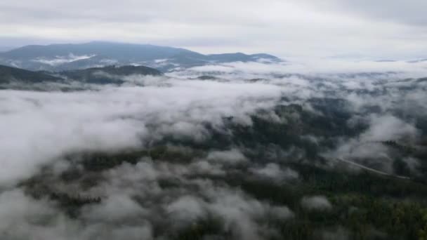Χρόνος ομίχλης βουνού. Καρπάθια. Ουκρανία. Εναέρια. Γκρι, επίπεδο, χωρίς χρώμα. — Αρχείο Βίντεο