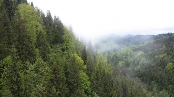 Paisagem das montanhas dos Cárpatos. Movimento lento. Ucrânia. Aviação — Vídeo de Stock