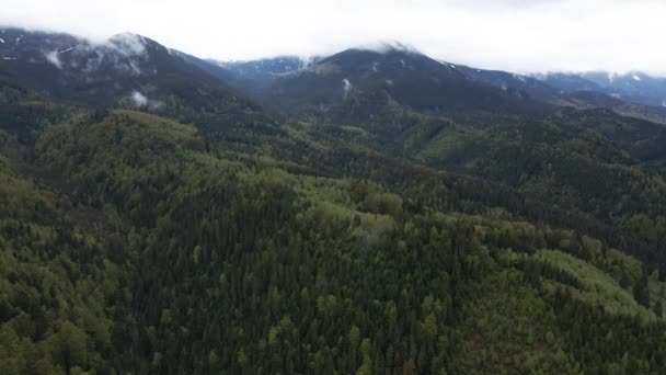 Karpat Dağları 'nın manzarası. Ağır çekim. Ukrayna. Havadan — Stok video