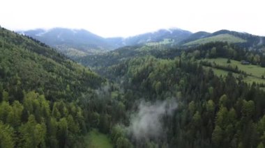 Karpat Dağları 'nın manzarası. Ağır çekim. Ukrayna. Havadan