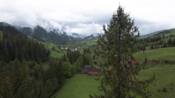 Wioska w górach. Zwolnij trochę. Karpaty. Ukraina. Antena — Wideo stockowe