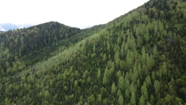 Paesaggio delle montagne dei Carpazi. Al rallentatore. Ucraina. Aerea — Video Stock