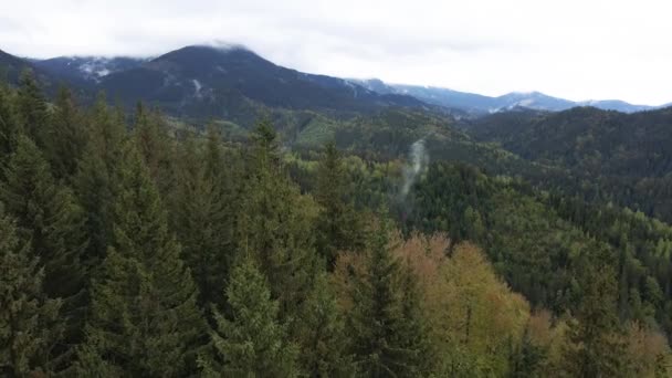 Landschap van de Karpaten. Langzame beweging. Oekraïne. Luchtfoto — Stockvideo