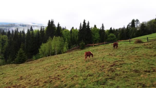 Paisaje de las montañas Cárpatas. En cámara lenta. Ucrania. Antena — Vídeos de Stock