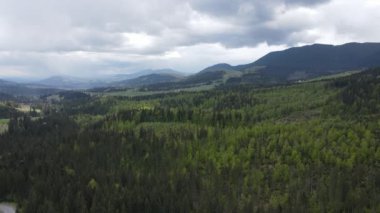 Karpat Dağları 'nın manzarası. Ağır çekim. Ukrayna. Havadan