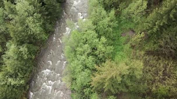 Río en las montañas. En cámara lenta. Cárpatos. Ucrania. Antena . — Vídeos de Stock