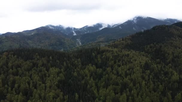 Landschap van de Karpaten. Langzame beweging. Oekraïne. Luchtfoto — Stockvideo