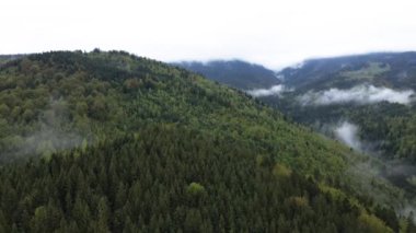 Karpat Dağları 'nın manzarası. Ağır çekim. Ukrayna. Havadan