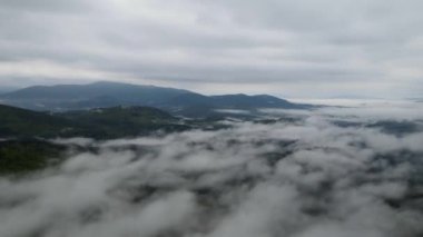 Dağ sisi zaman aşımı. Karpatlar. Ukrayna. Havadan. Gri, düz, renksiz.