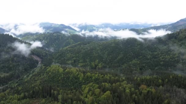 Karpat Dağları 'nın manzarası. Ağır çekim. Ukrayna. Havadan — Stok video