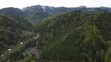 Karpat Dağları 'nın manzarası. Ağır çekim. Ukrayna. Havadan