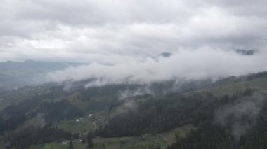 Dağlarda sis var. Ağır çekim. Karpat Dağları. Ukrayna. Havadan. Gri, düz