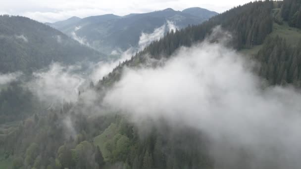 Nebbia in montagna. Al rallentatore. Montagne carpatiche. Ucraina. Aereo. Grigio, piatto — Video Stock