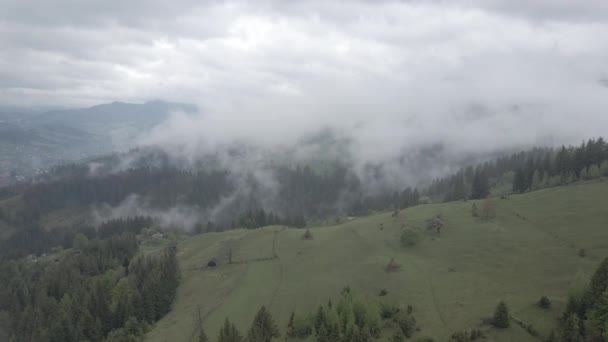 Dağlarda sis var. Ağır çekim. Karpat Dağları. Ukrayna. Havadan. Gri, düz — Stok video