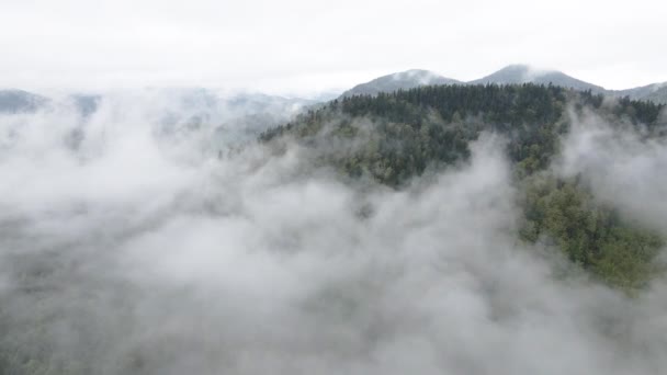 Niebla en las montañas. En cámara lenta. Montañas Cárpatas. Ucrania. Aérea. Gris, plano — Vídeos de Stock