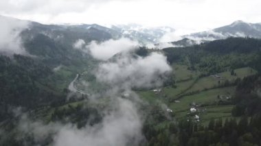 Dağlarda sis var. Ağır çekim. Karpat Dağları. Ukrayna. Havadan. Gri, düz