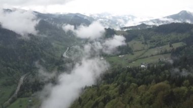Dağlarda sis var. Ağır çekim. Karpat Dağları. Ukrayna. Havadan. Gri, düz