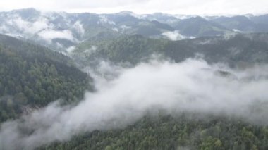 Dağlarda sis var. Ağır çekim. Karpat Dağları. Ukrayna. Havadan. Gri, düz
