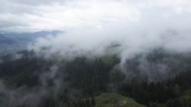 Dağlarda sis var. Ağır çekim. Karpat Dağları. Ukrayna. Havadan. Gri, düz