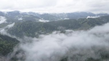 Dağlarda sis var. Ağır çekim. Karpat Dağları. Ukrayna. Havadan. Gri, düz