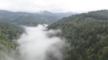 Dağlarda sis var. Ağır çekim. Karpat Dağları. Ukrayna. Havadan. Gri, düz