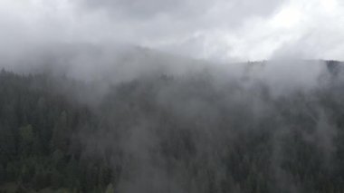 Dağlarda sis var. Ağır çekim. Karpat Dağları. Ukrayna. Havadan. Gri, düz