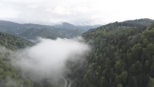 Brouillard dans les montagnes. Au ralenti. Les montagnes des Carpates. Ukraine. Aérien. Gris, plat — Video