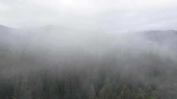 山の中の霧。スローモーション。カルパチア山脈。ウクライナだ。空中だ。グレー、フラット — ストック動画