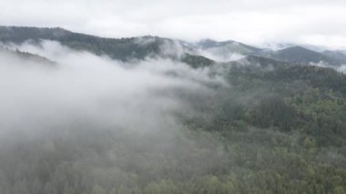 Dağlarda sis var. Ağır çekim. Karpat Dağları. Ukrayna. Havadan. Gri, düz