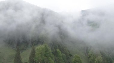 Dağlarda sis var. Ağır çekim. Karpat Dağları. Ukrayna. Havadan. Gri, düz