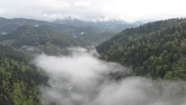 Niebla en las montañas. En cámara lenta. Montañas Cárpatas. Ucrania. Aérea. Gris, plano — Vídeos de Stock