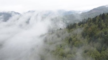 Dağlarda sis var. Ağır çekim. Karpat Dağları. Ukrayna. Havadan. Gri, düz